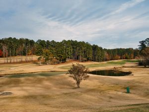 Cambrian Ridge (Sherling) 8th Back